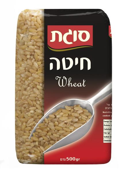 חיטה