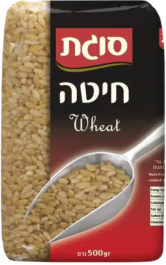 חיטה