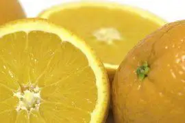 סלט קינואה ותפוזים