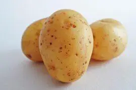 תפוחי אדמה ממולאים סלט טופו