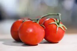 מרק עגבניות עם שיבולת שועל
