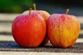 מתכונים לחגי תשרי: התפוח לא נפל רחוק מהחג